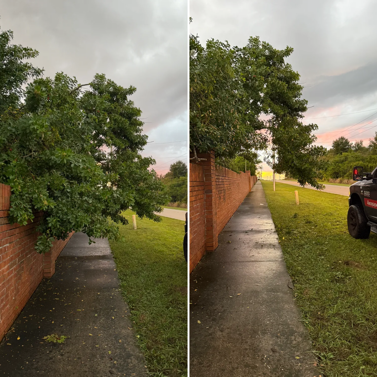 Land Clearing for Amerigrown Tree And Lawn in Apopka, FL