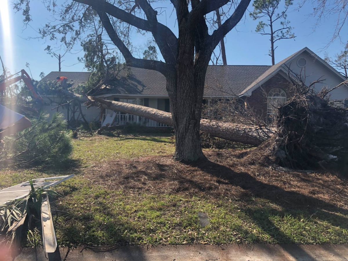 Shrub Trimming for Coastal Tree & Stump in Charleston, SC