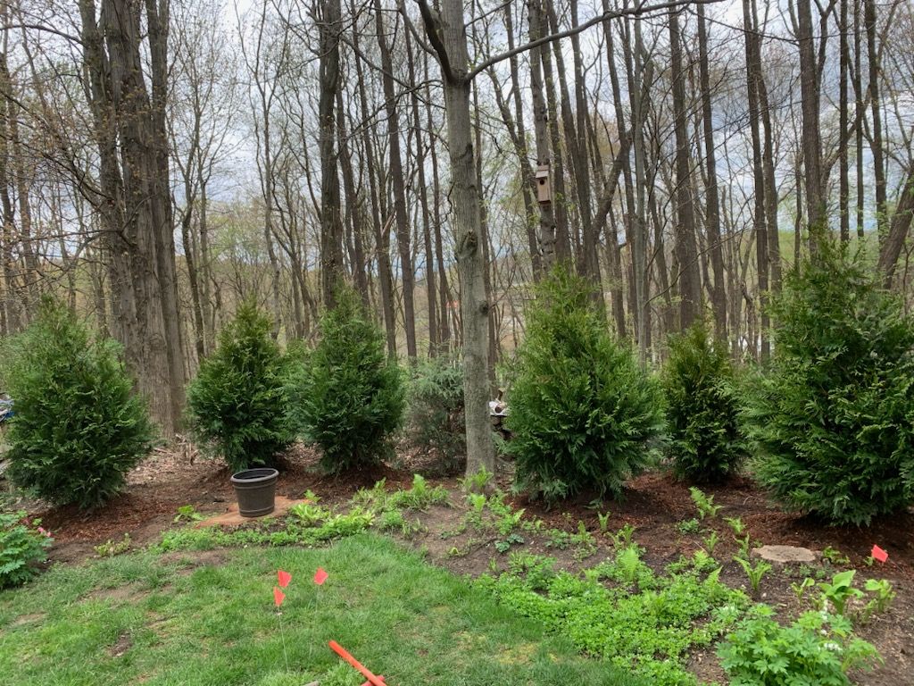 Tree Bush and Flower Installation for Trueman Landscaping in Wexford, PA