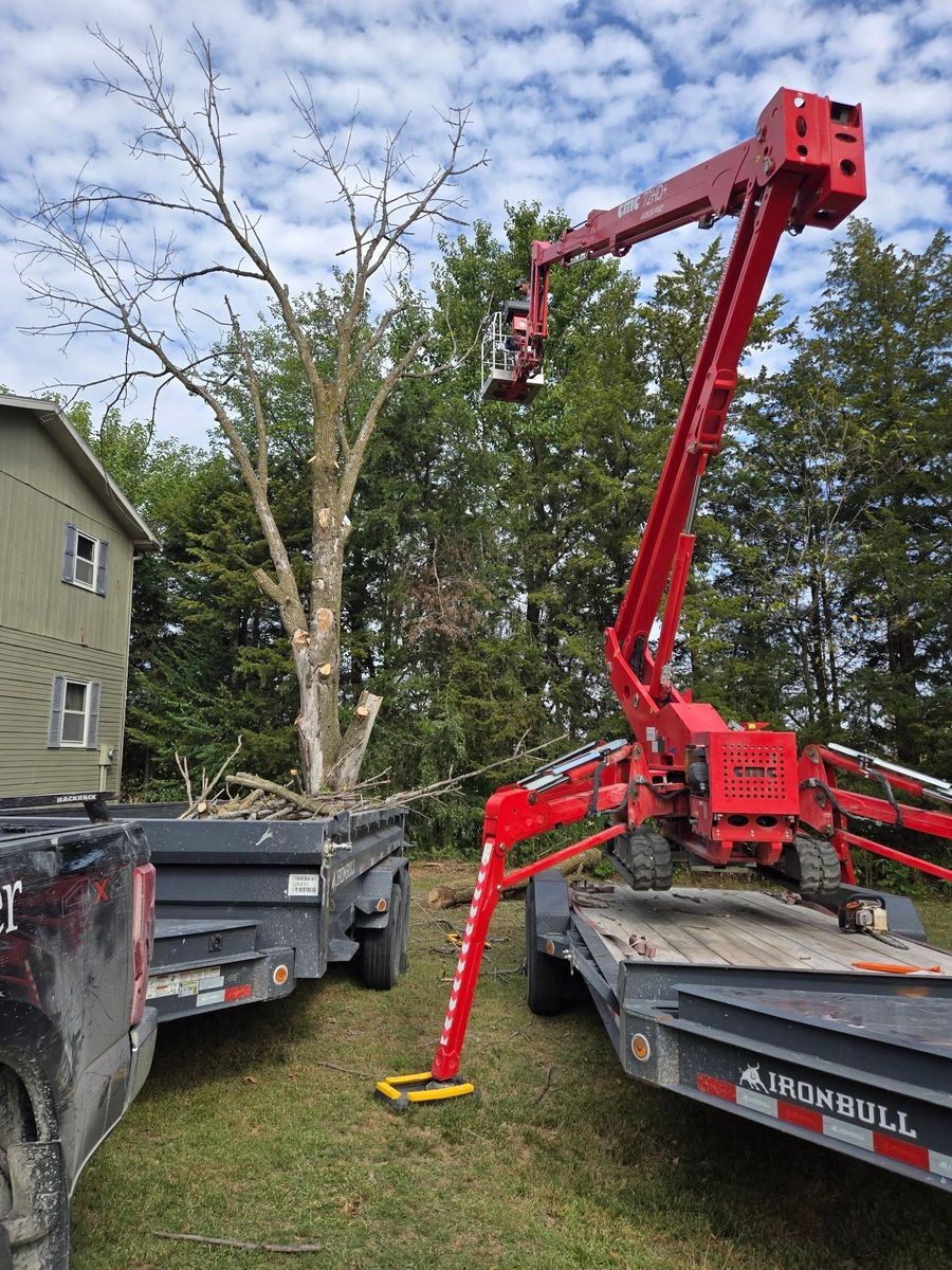 Tree Removal for Lawn Ranger Yard And Tree Service LLC in Ottumwa, IA