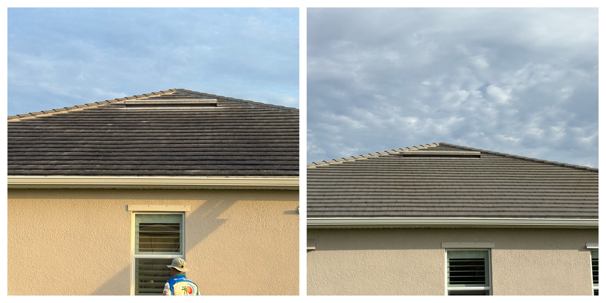 Roof Cleaning And Power Wash for My Softwash Guys in Venice, FL