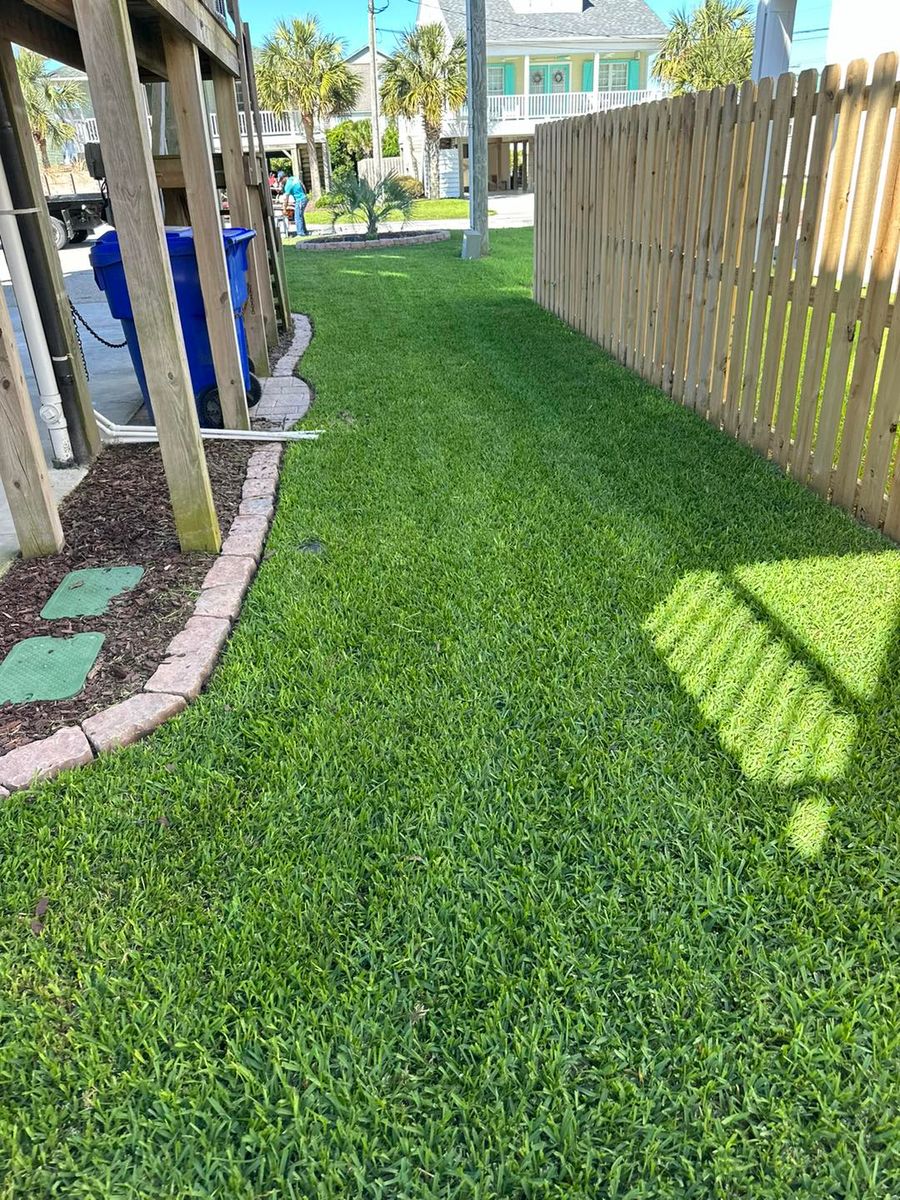 Landscaping for Carolina Odd Jobs Inc. in Sneads Ferry, NC