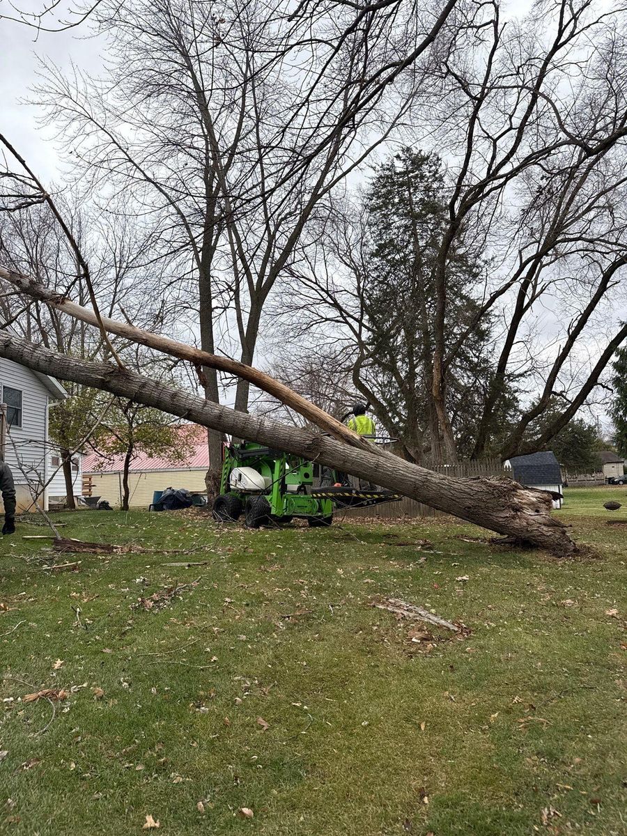 Lot Clearing for Fransen's Tree Service  in Freeport, IL