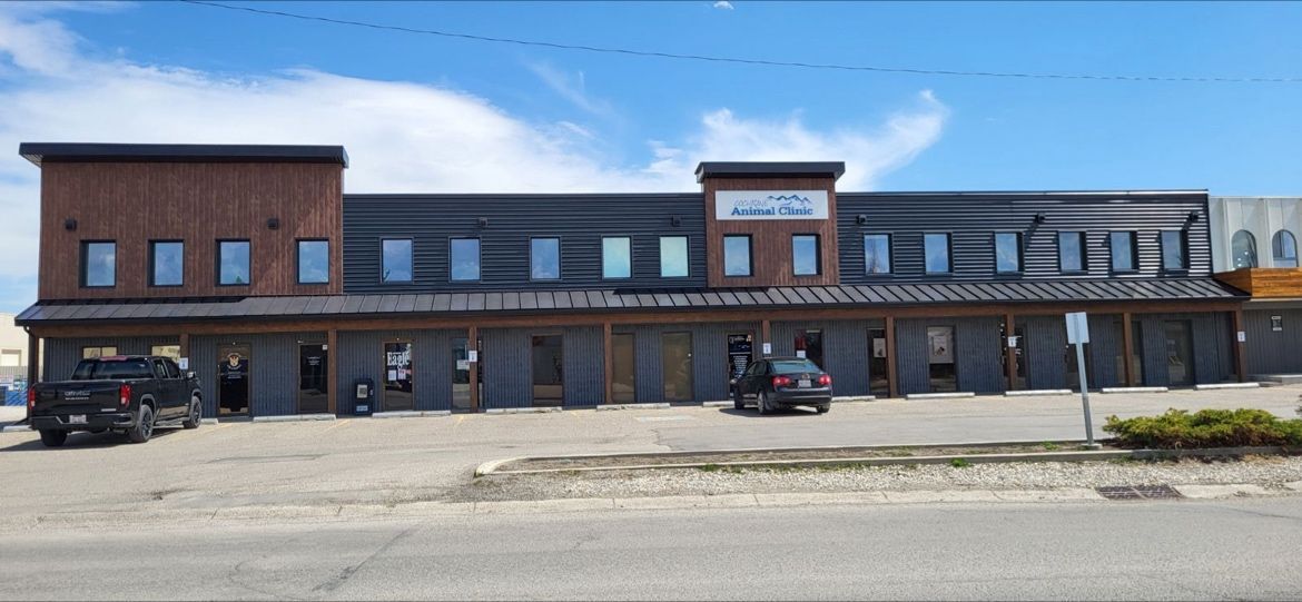 Roofing Installation for Triumph Inc - Repair & Maintenance in O'Connor - Parkview, ON