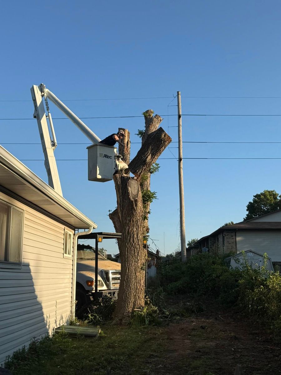 Tree Removal for Lightning Tree Service in Fair Grove, MO