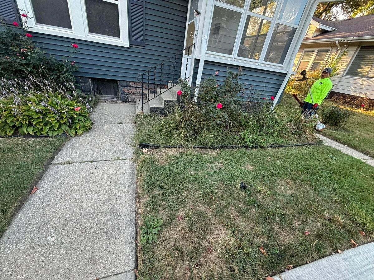 Shrub Trimming for Cena Landscaping in Rockford, IL