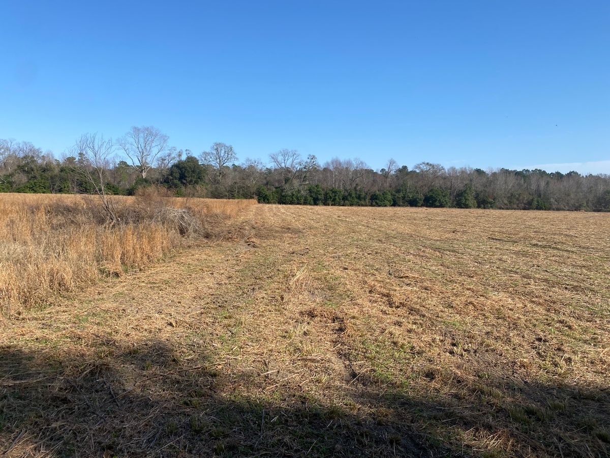 Bush Hogging for T&S Land Management Services in Effingham County, GA