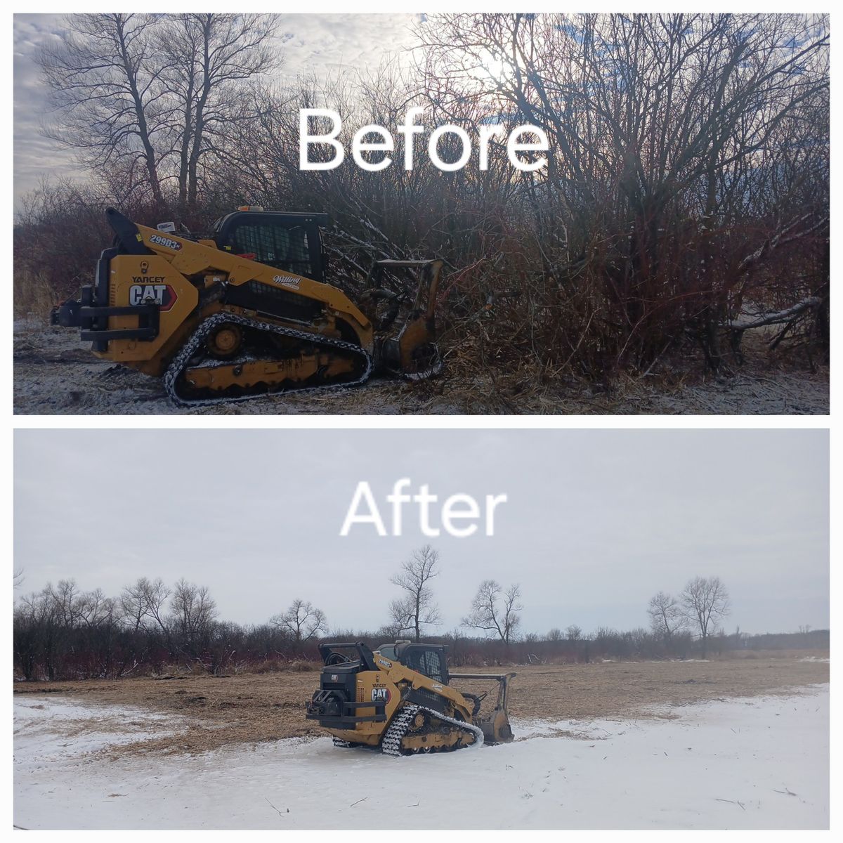 Tree Removal for Willing Trucking & Excavating in Evansville, WI