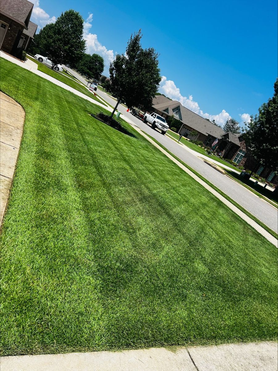 Shrub Care, Property Cleanup for Enhanced Landscape in Daphne, AL