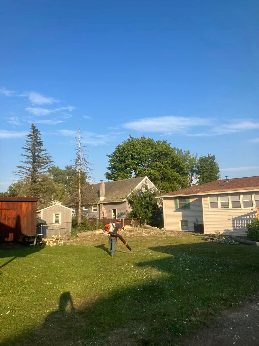 Tree Removal for Lovenguth Logging and Tree Service in West Monroe, NY