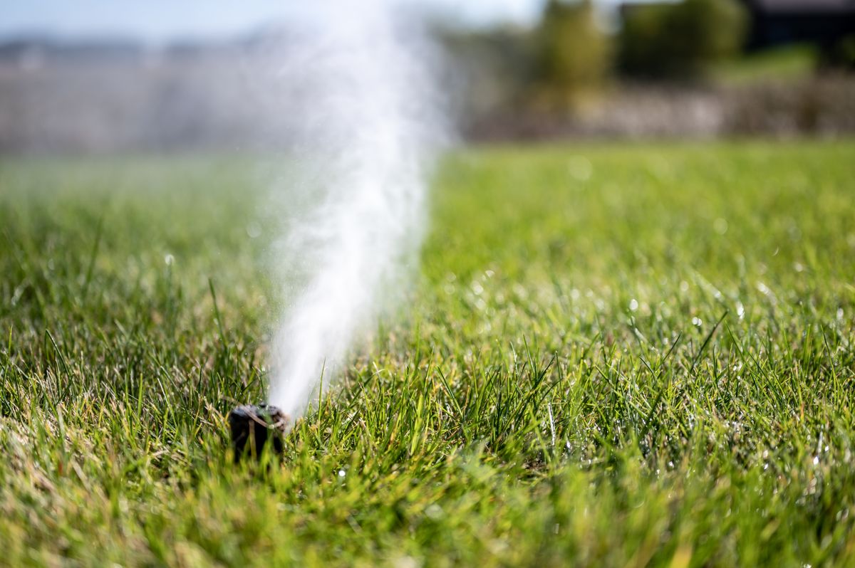 Irrigation System Design & Install for ALOV Landscaping in Stockton, CA