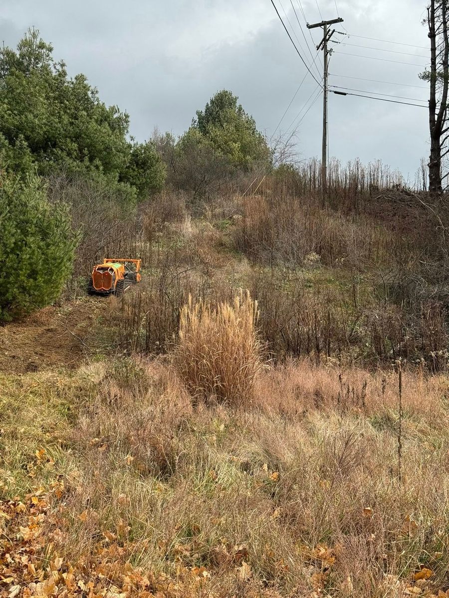 Vegetation Removal for Mountain Goat Land Management in Galax, VA