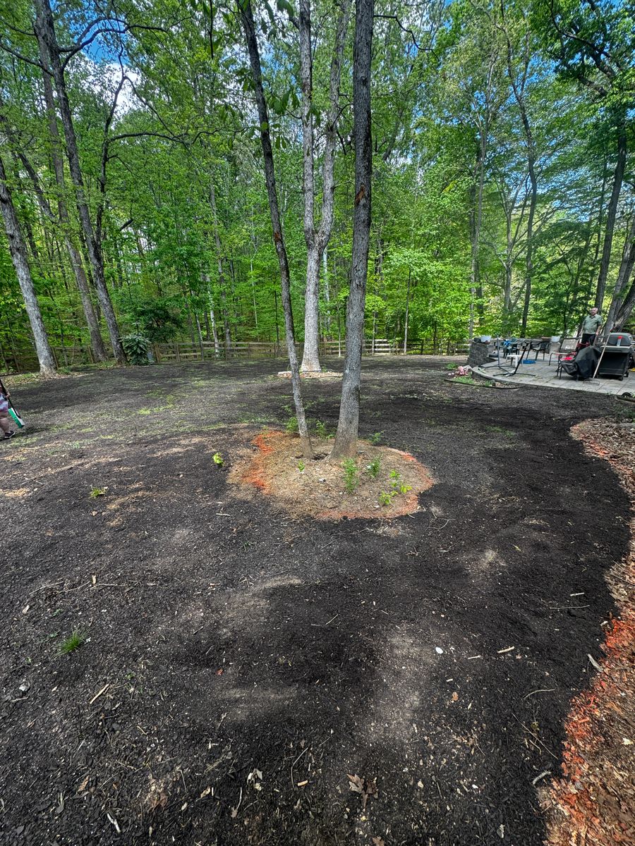 Brush Cutting & Removal for Deeply Rooted Lawns – Hydroseeding & Sod Installation Services in Winder, GA