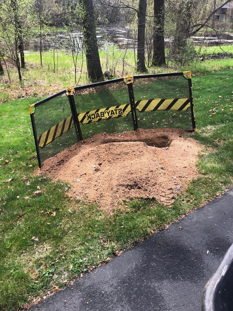 Stump Grinding for Corbin’s Stump Grinding in Hugo, MN