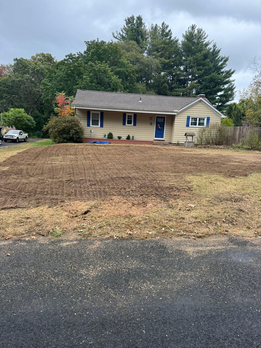 Stump Removal for Jills Stump Grinding and Firewood in Shelton, CT