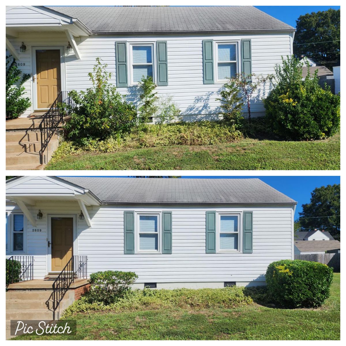 Tree & Shrub Trimming for Absolute Lawn Solutions LLC in Sutherland, VA