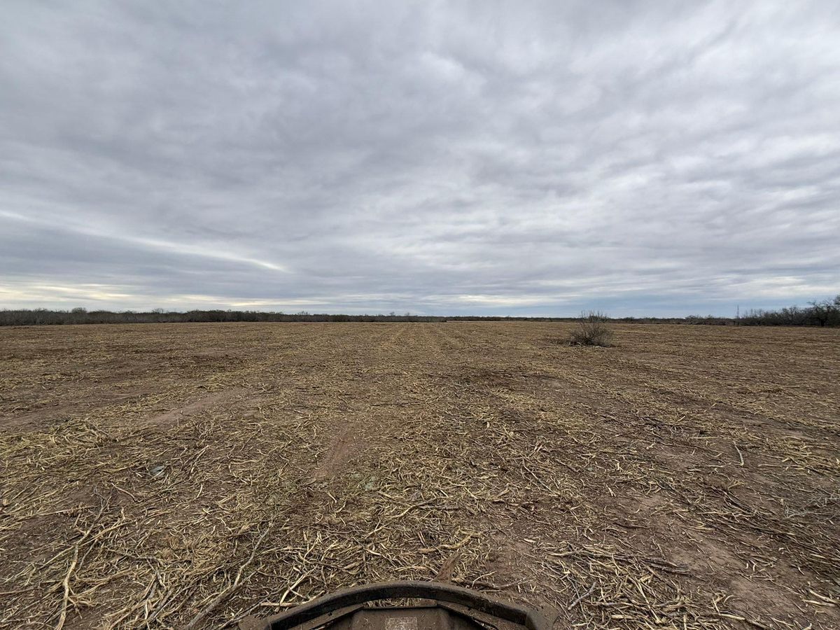 Property Grading for Strause Land Improvement & Construction in George West, TX