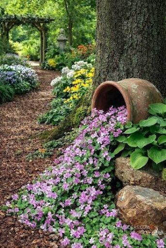 Landscaping for Sanchez Z. Landscaping in Memphis, TN