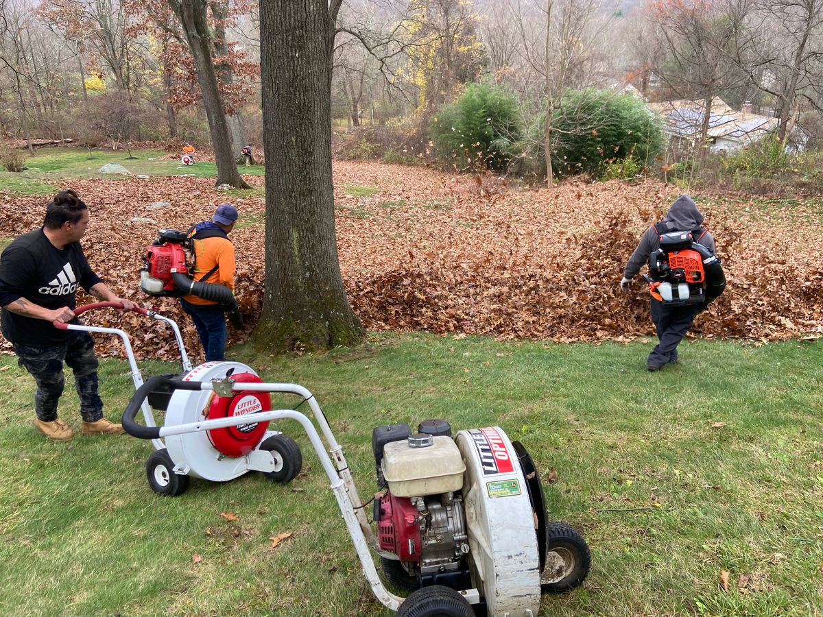 Fall Clean Up for Zaldivar’s Lawn Care INC  in Peekskill, NY