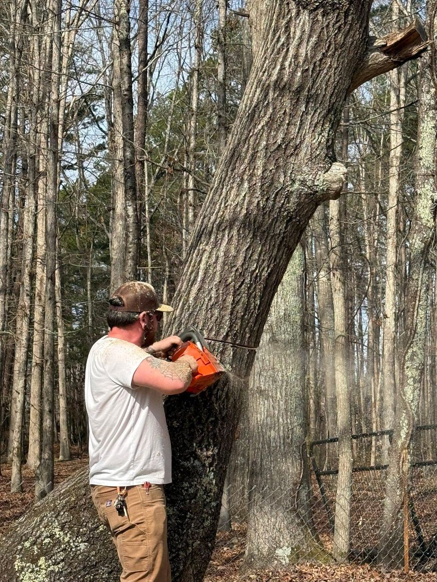 Outdoor Projects for Quartz Creek in Claremont, NC