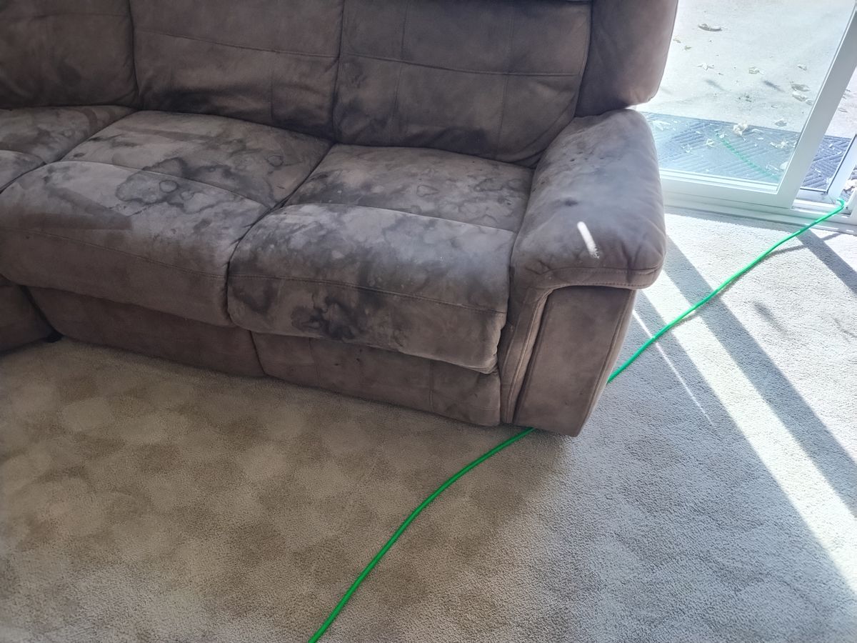 Upholstery Cleaning for Loving 217 Homes in Chatham, IL