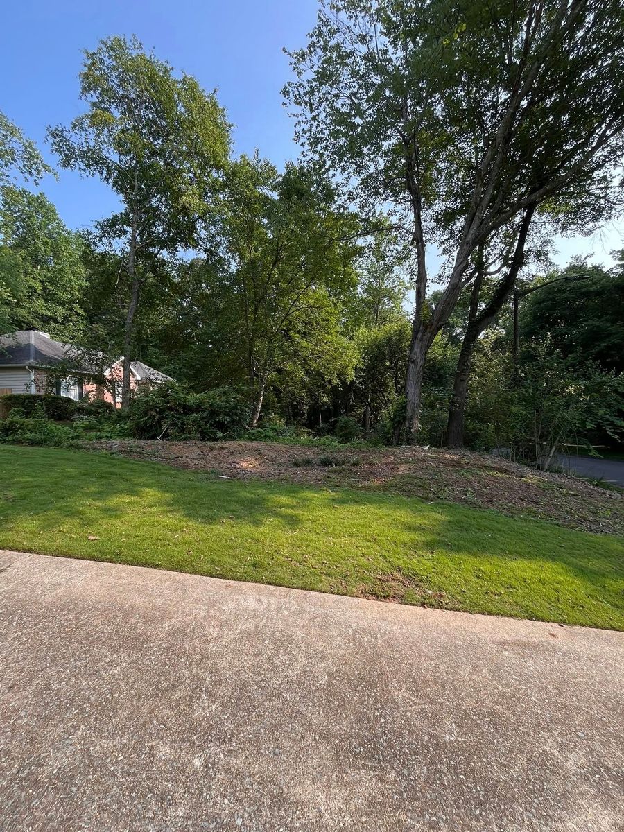 Landscape Design for VL Landscaping, LLC in Cartersville, GA