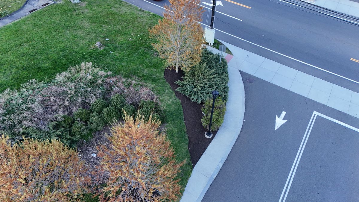 Commercial Landscape Maintenance for Ace Landscaping in Trumbull, CT