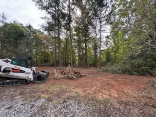 Brush Removal for Sykes Land Services in Asheboro, NC