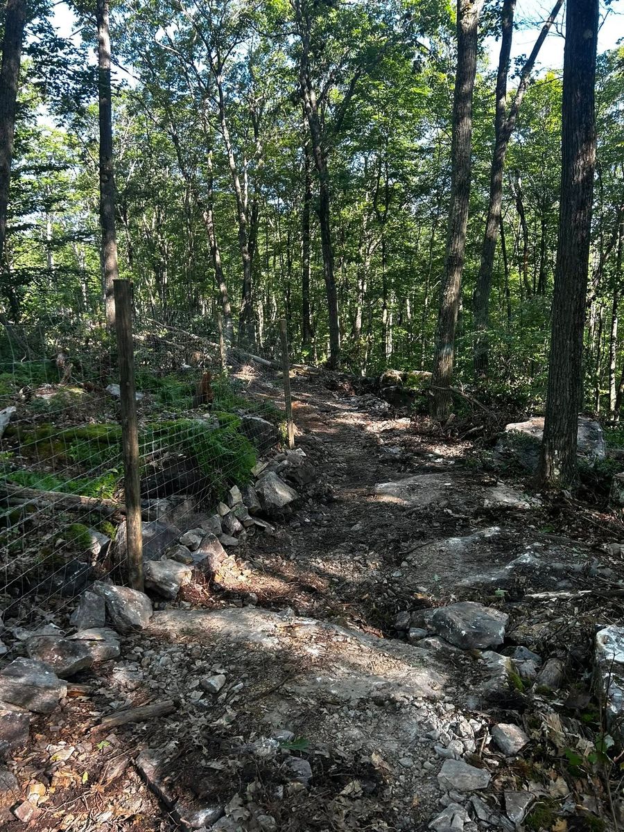 Deer Fencing for Pine Mountain Restoration in Howard, PA