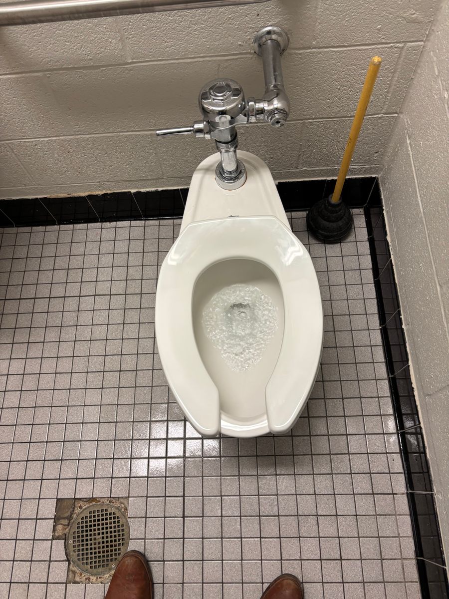 Toilet Repairs and Installation for Avanzi Plumbing in Millington, TN