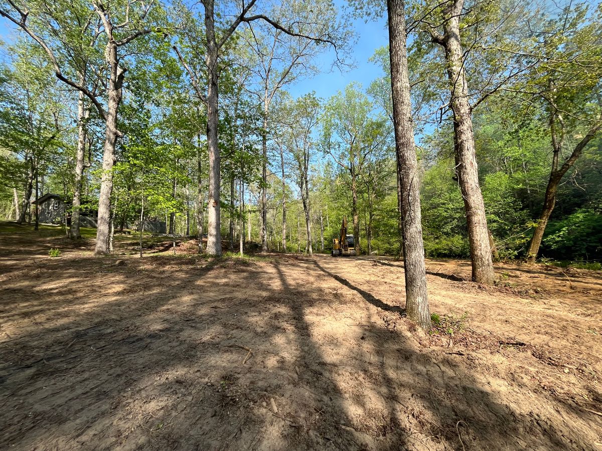 Land Clearing for Collins Constructors in Fyffe, AL