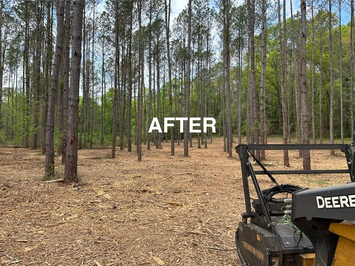 Forestry Mulching for Central Alabama Site Works in Selma, AL