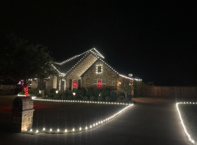 Custom Christmas lights for Teague Trees & Landscaping in Rendon, TX