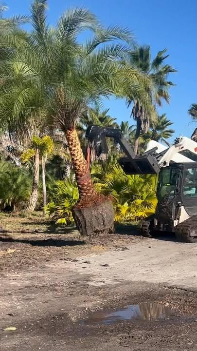 Landscape Design & Installation for Lawn Caring Guys in Cape Coral, FL