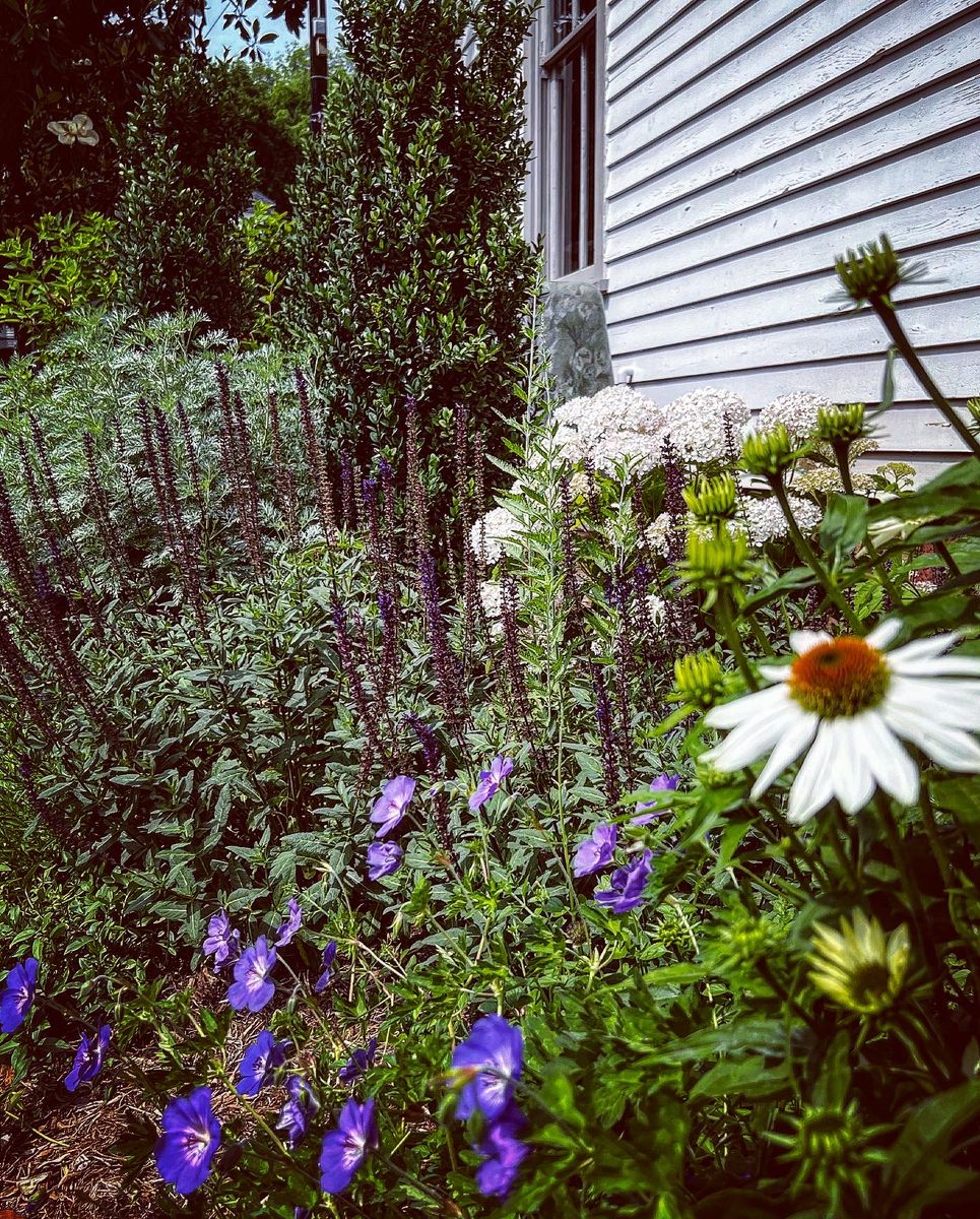 Landscape Design / Installations for Christina King Landscape Design in Raleigh, NC