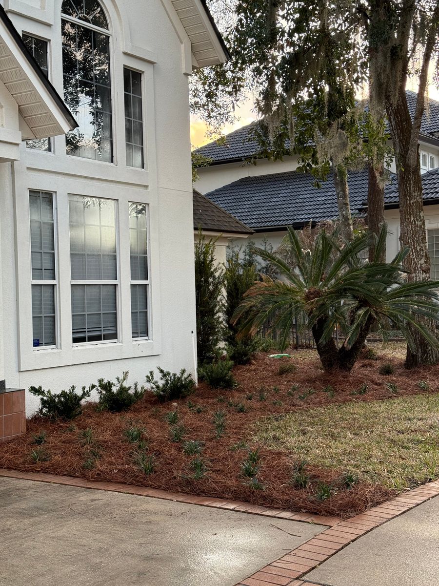 Landscaping Installation & Design for Pro Designs Landscaping in Jacksonville, FL