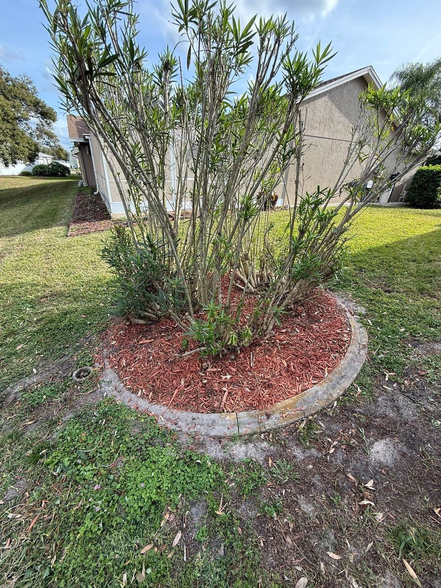 Mulch Installation for Kramer & Son’s Property Maintenance in Hudson, FL