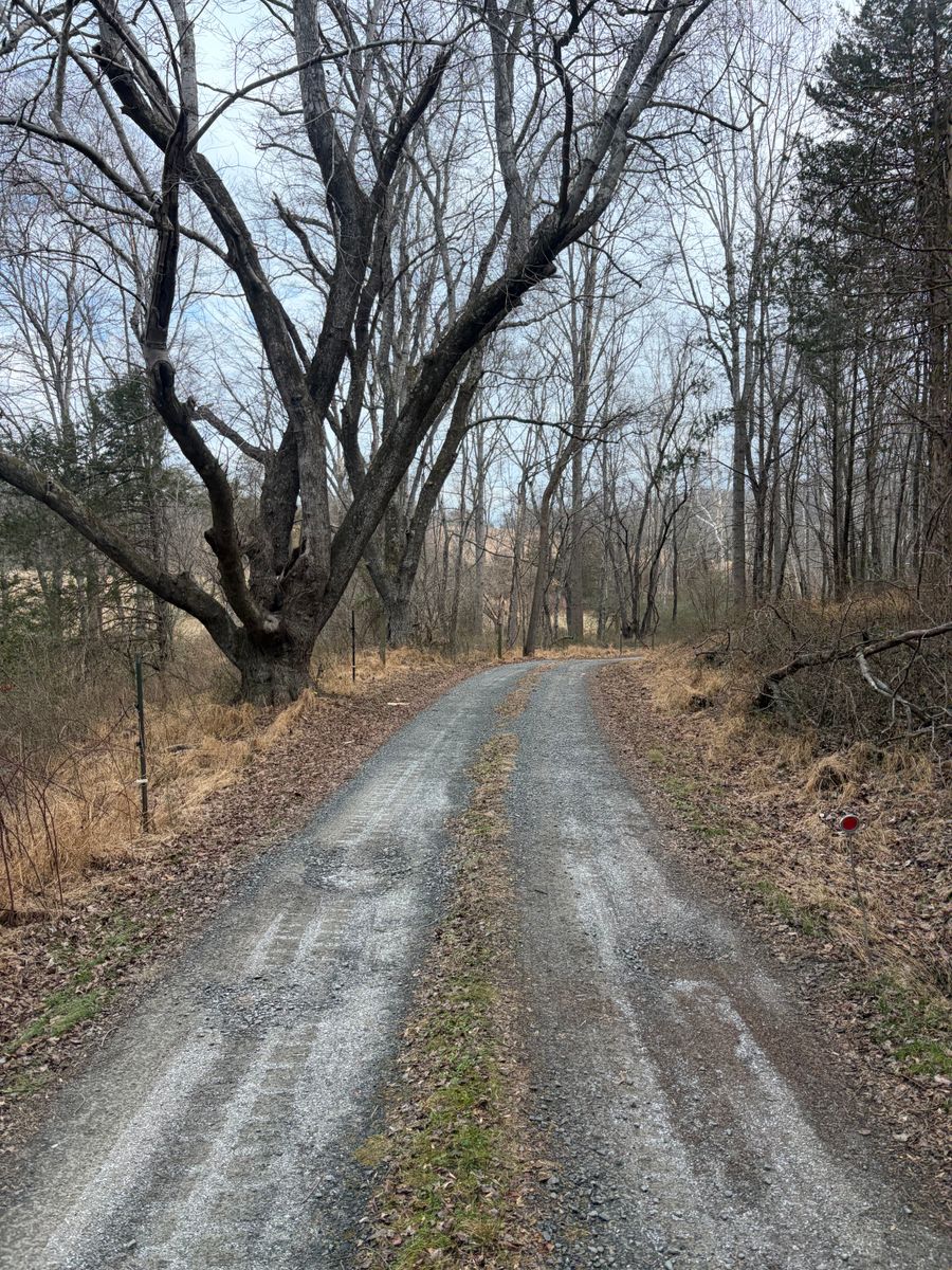 Site Prep for 9999 Building and Renovation LLC in Warrenton, VA