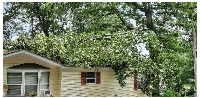 Storm Damage for Ascending Tree Service LLC in Kenbridge, VA