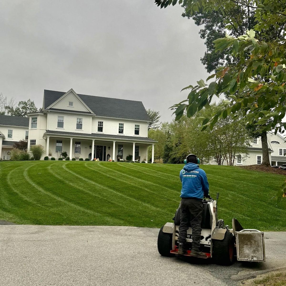 Fertilizer Program for Pungitore Landscapes, Irrigation & Fertilizer in Hingham, MA