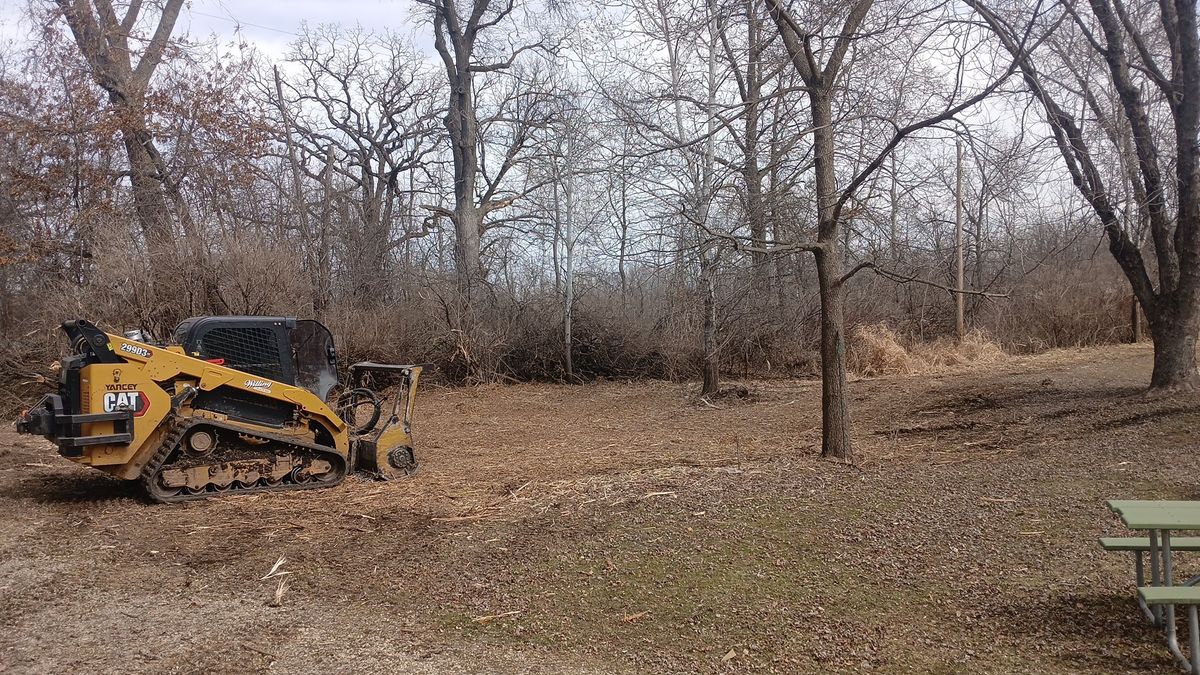 Land Clearing for Willing Trucking & Excavating in Evansville, WI