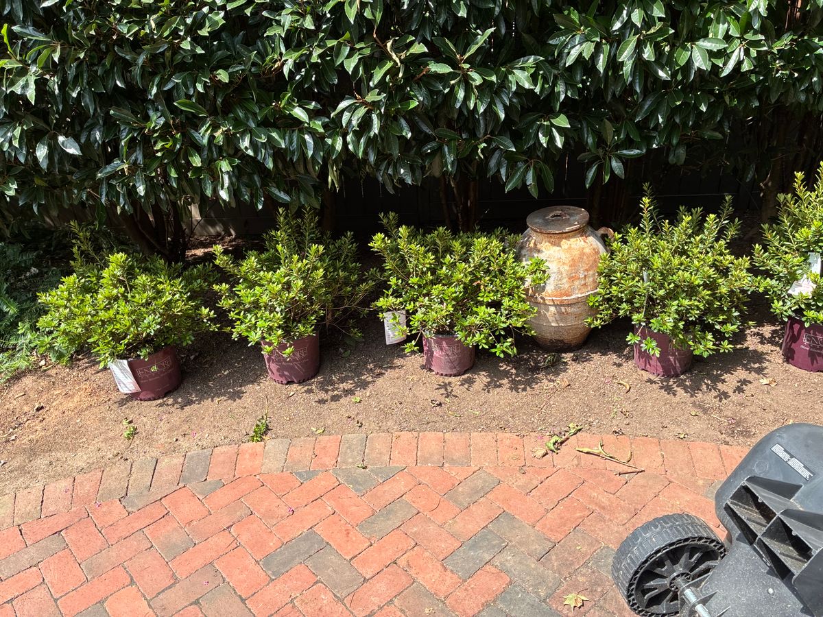 Landscaping for Oakhurst Landscaping and Tree Service in Charlotte, NC