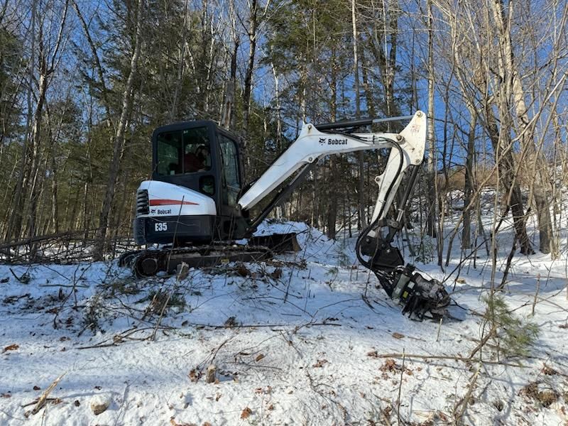 Tree Removal for Abair Tree Service in Weare, NH