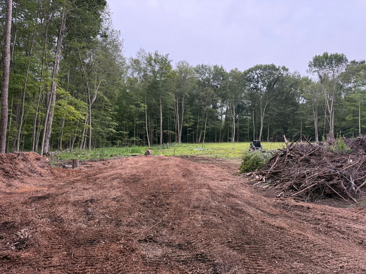 Forestry Mulching for Triple C’s Excavation in Ashford, CT