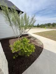 Landscape Design for Oviedo Land & Garden in Bastrop, TX