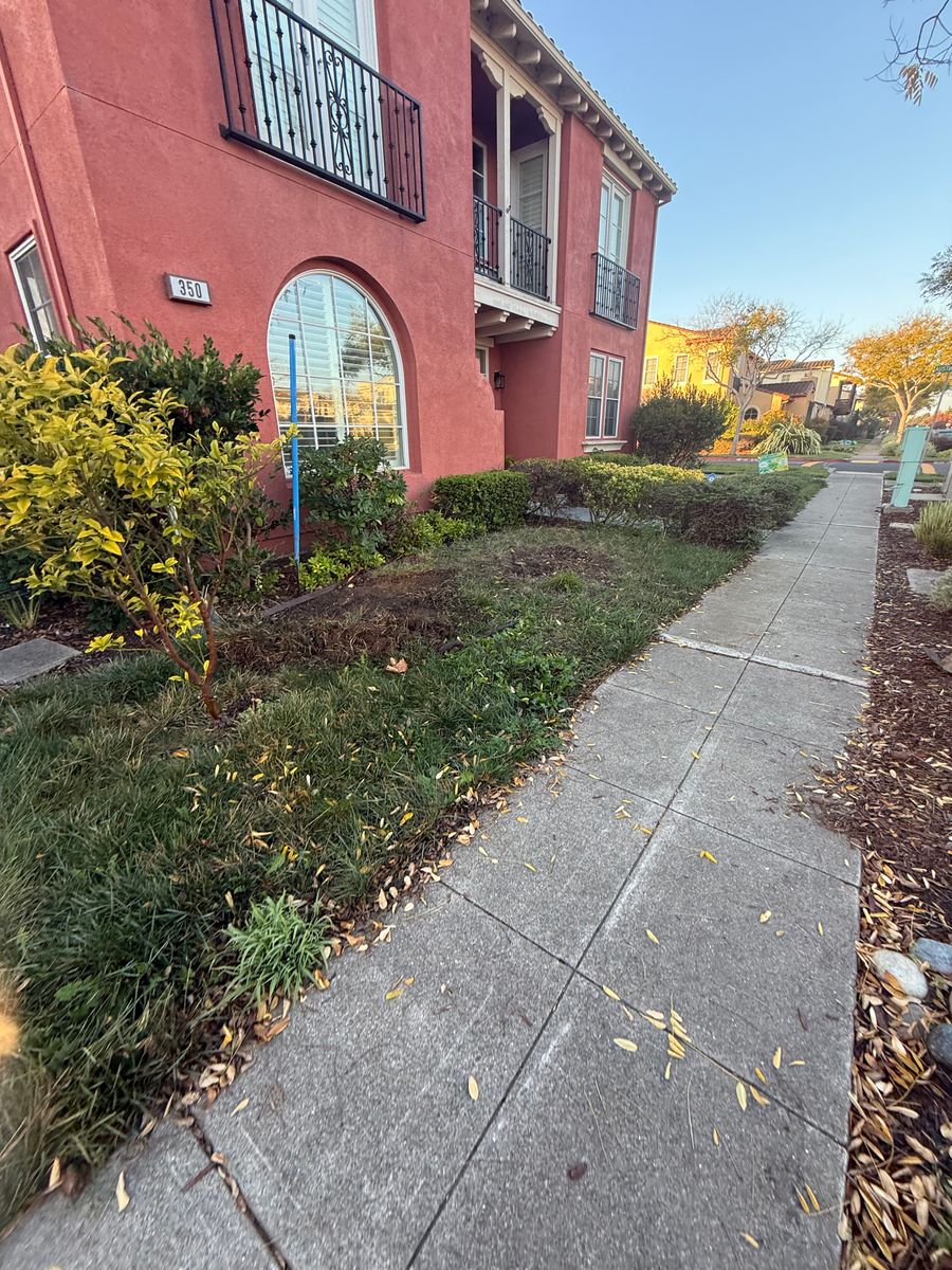 Landscaping for CBA Landscaping in Hayward, CA