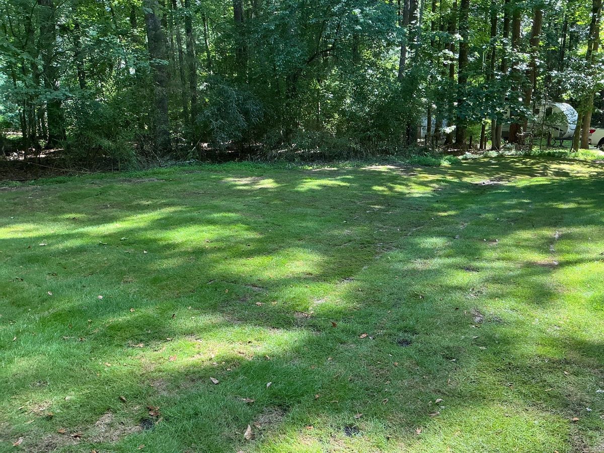 🌱 NB Sod Installation for New Beginning Landscape & Remodel LLC in Atlanta, GA