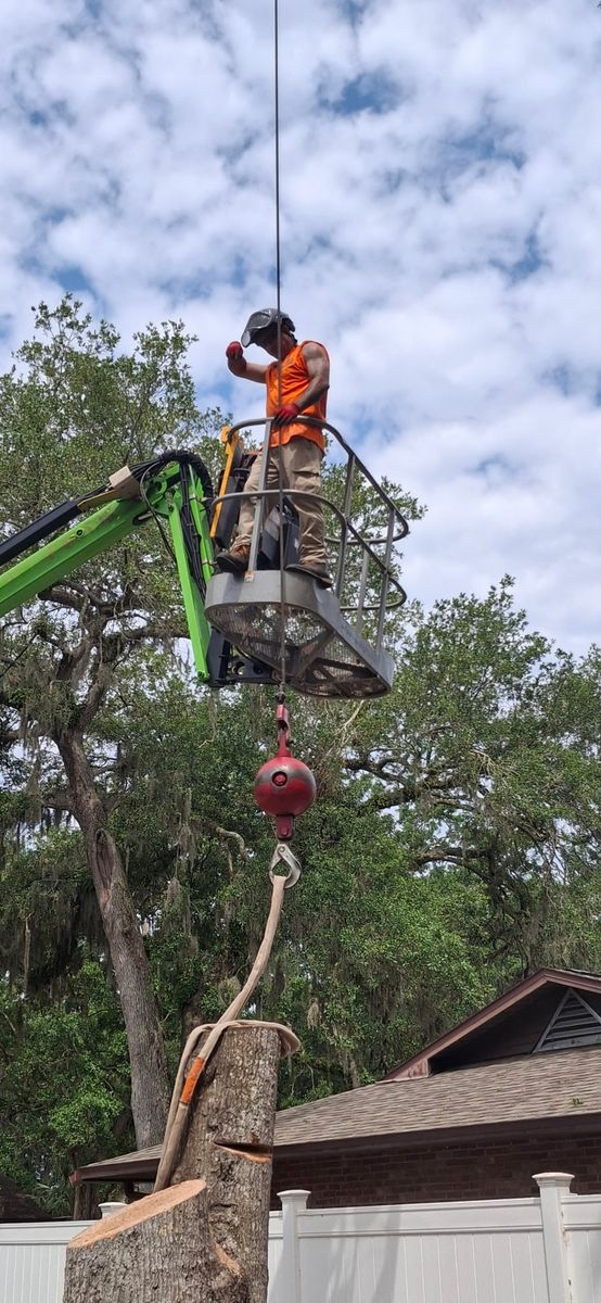 Tree Removal for Daniel Hickey’s Tree Service in DeLand, FL