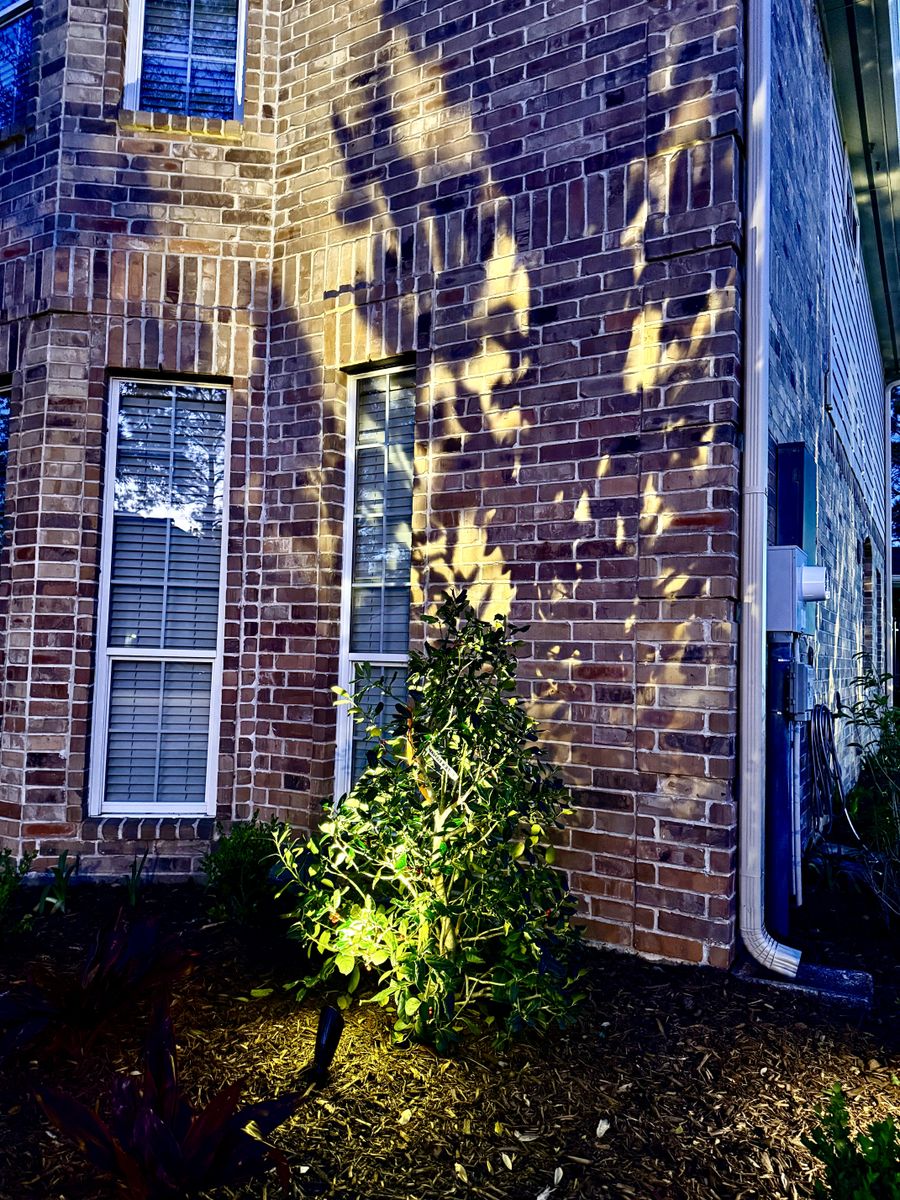 Mulch Installation for Full Armor Landscapes in League City, TX