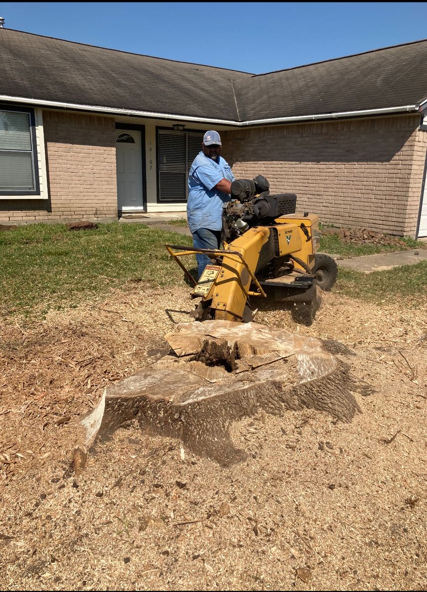Landscaping for Garza Lawncare & Tree Service in Pearland, TX